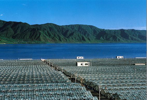 非洲乍德湖、墨西哥Texcoco湖已衰落,中国程海