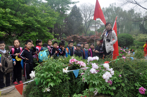 山师附小学生踏青赏花196体育 “户外课堂”长知识(图2)