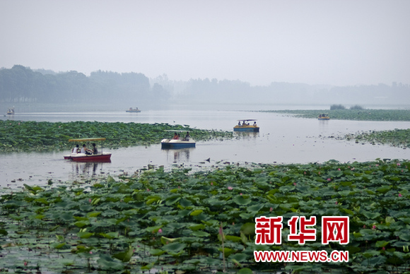 山東章丘白雲湖荷花節盛裝開幕 歷時一個月